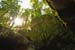 Gorges-1
